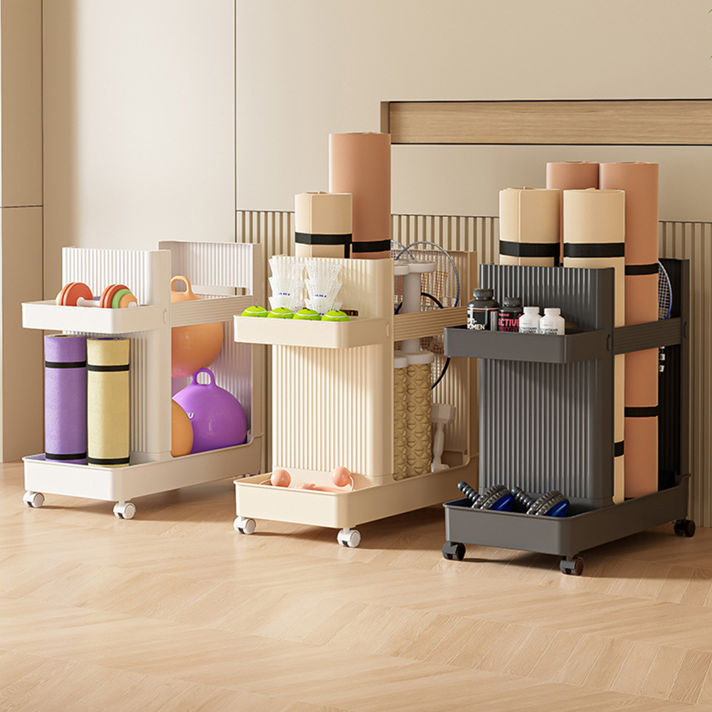 스포츠 장비 보관함 바퀴가 달린 대용량 피트니스 장비  - Sports Equipment Trolley 리뷰 및 가격