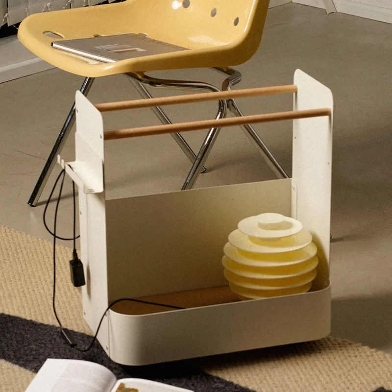 다기능 가정용 모바일 보관 카트, 거실 스포츠 장비,  - Sports Equipment Storage Rack 리뷰 및 가격