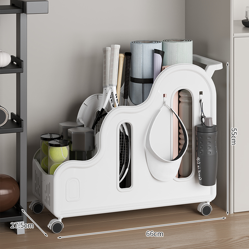 수납랙 이동식 요가매트 홈 피트니스 스포츠 용품 정리  - Sports Equipment Trolley 리뷰 및 가격