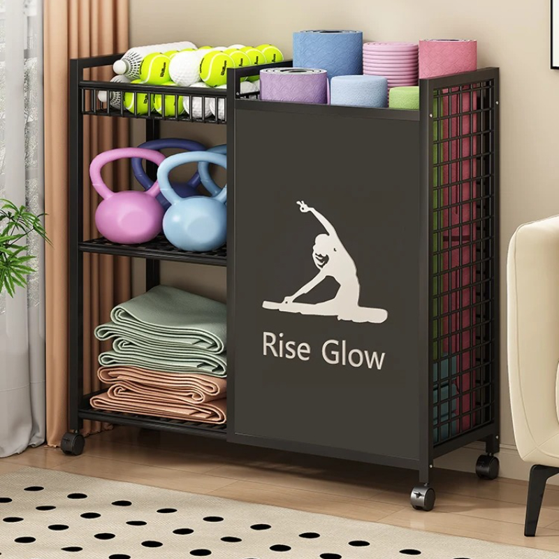 바퀴가 달린 이동식 피트니스 카트 - 홈 짐, 요가 스 - Sports Equipment Storage Rack 리뷰 및 가격