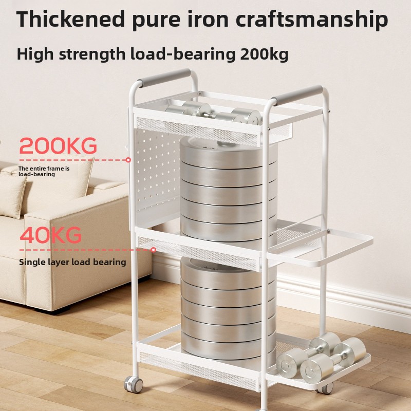 미니멀리스트 철제 수납 랙 다층 이동식 정리대 (요가  - Sports Equipment Trolley 리뷰 및 가격