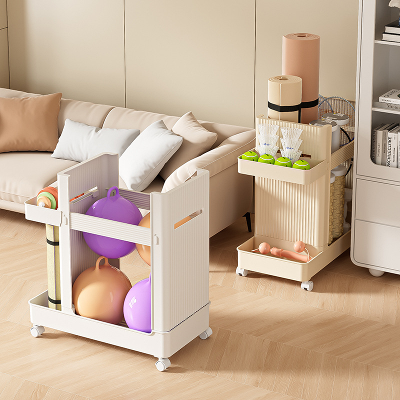 스포츠 장비 보관 랙 요가 매트 보관 바구니 바퀴 달린 - Sports Equipment Trolley 리뷰 및 가격